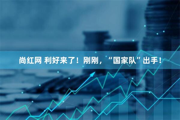 尚红网 利好来了！刚刚，“国家队”出手！