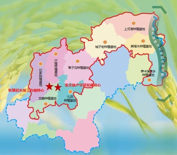 熊猫配资 九台贡米加速绘就“一带、两心、多基地”的产业蓝图