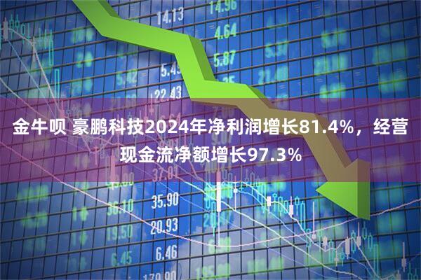 金牛呗 豪鹏科技2024年净利润增长81.4%，经营现金流净额增长97.3%